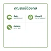 ประตูห้องน้ำ uPVC รุ่น UVC บานเกล็ด (ไม่เจาะลูกบิด) - Image 4